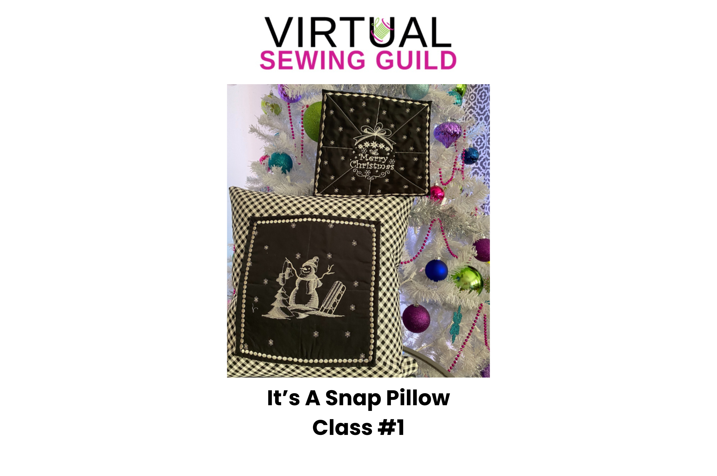 It's A Snap Pillow Set #1