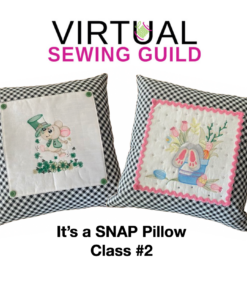 It's A Snap Pillow Set #2
