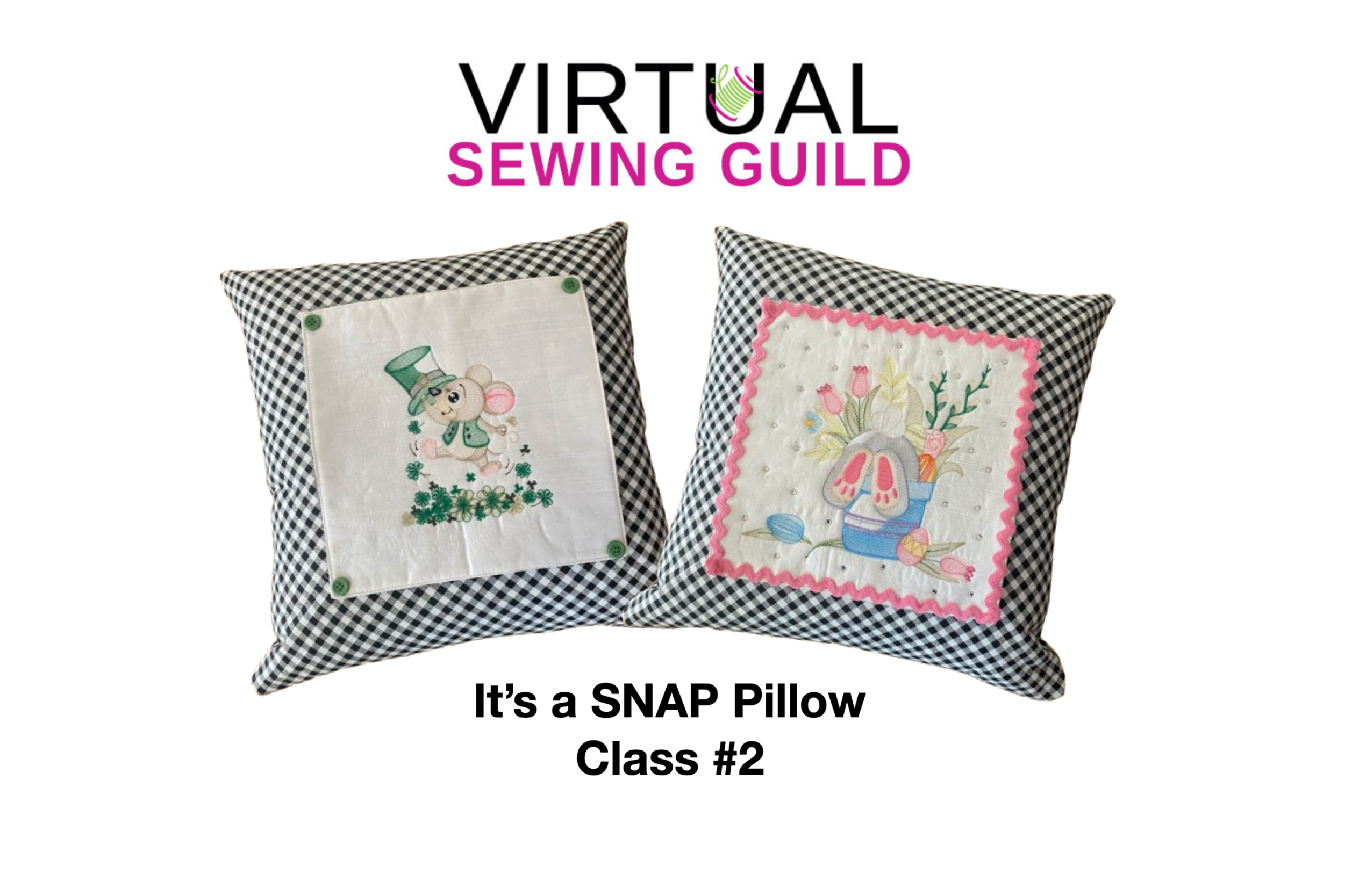 It's A Snap Pillow Set #2